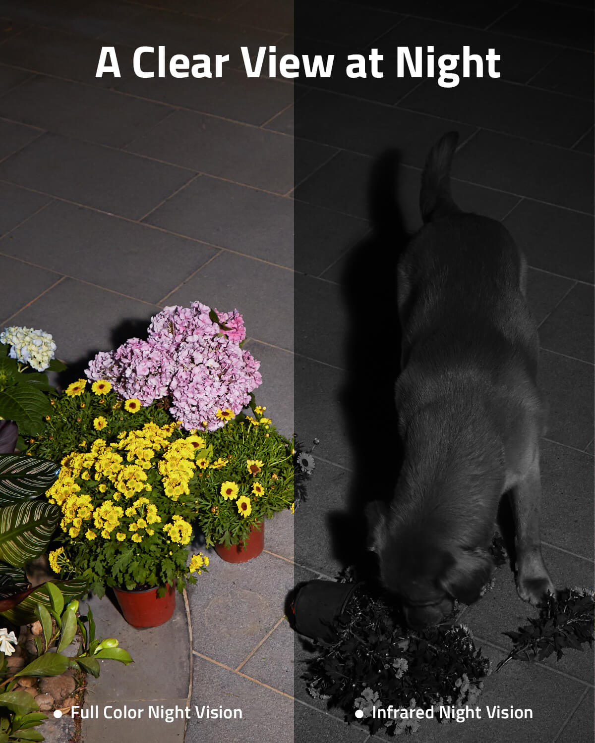 eufy-security-eufycam-solo-s40-s230-solar-2k-spotlight-kamera image 4