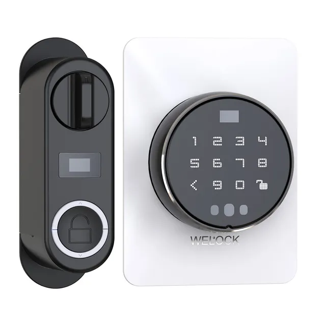 welock-a91pro-smart-lock-frontblende-faceplate-t-rschloss image 1